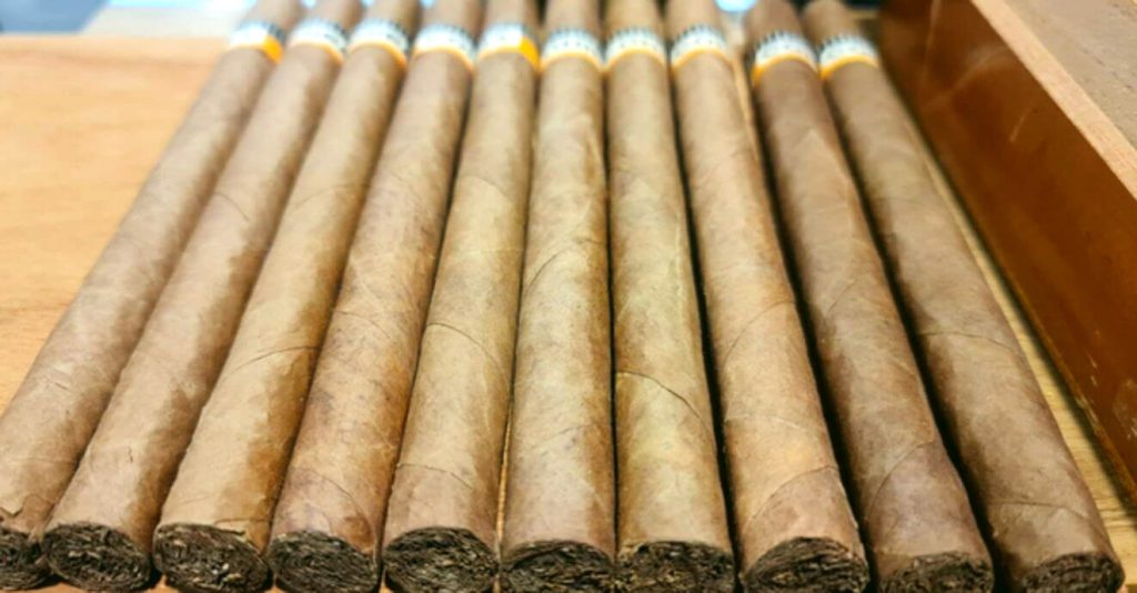 Indulge in the Mastery of Cigars Crafted with Homogenized Tobacco Leaf
